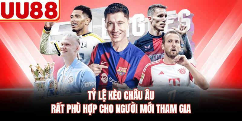 Tỷ lệ kèo châu Âu rất phù hợp cho người mới tham gia