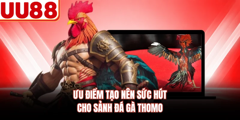 Ưu điểm tạo nên sức hút cho sảnh đá gà Thomo